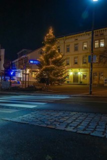 An illuminated tree in front of a building and across a paved road, Aidlingen, Böblingen district,