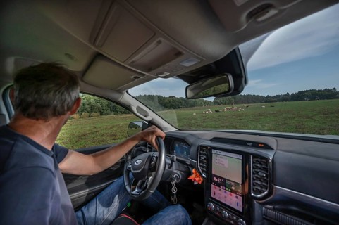 Young shepherd in car checks his flocks of sheep in nature reserves, Othenstorf,
