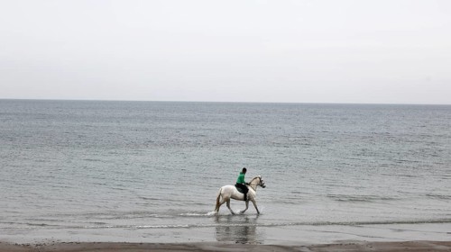 A female rider riding on a mold through the shallow water of the Baltic Sea, Scharbeutz, 27.11