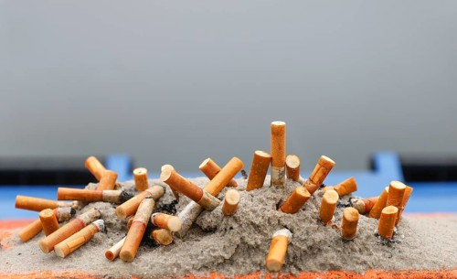 Close-up of cigarette butts stuck in ash and sand, 27.11.2025, Scharbeutz, Schleswig-Holstein,