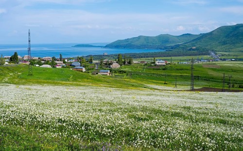 Wide view of flower fields and hills with a distant lake and village, view of Tsovagiugh and Lake