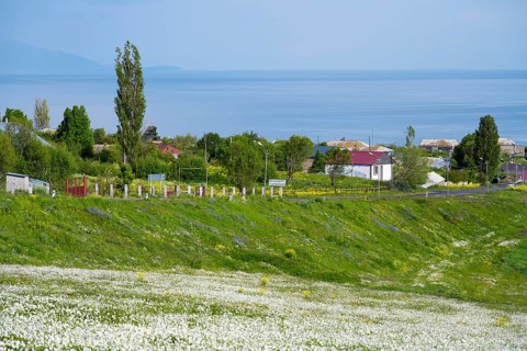 Panoramic view of blooming meadows, trees and sea horizon with village, view of Tsovagiugh and Lake