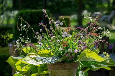 A colorful bouquet of wildflowers in a beige vase stands in the sunlight of a garden, the
