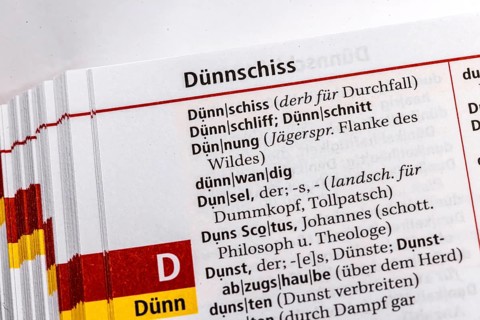Skinny, diarrhea. Term from the Duden. Standard work of German spelling, 29th edition. germany