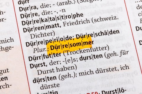 Drought period, drought damage, drought summer. Term from the Duden. Standard work of German