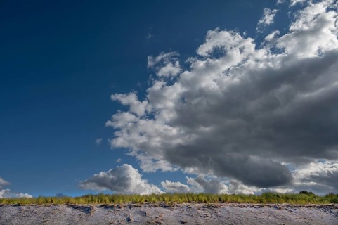 Beach oats (Ammophila) on the beach, rain clouds (Nimbostratus), Baltic Sea, DarÃŸ,