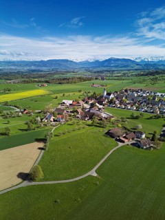 View of town with field of blooming rapeseed, Rigi and the snowy Alps in the back, Beinwil,