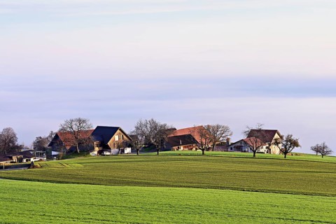 Village above a sea of fog, Brunnwil, Freiamt, Canton, Aargau, Switzerland