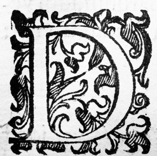 Initial, initial letter D, from: Ulysses Aldrovandi (1522-1603), Ornithologiae hoc est de avibus