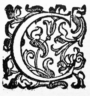 Initial letter C, from: Ulysses Aldrovandi (1522-1603), Ornithologiae hoc est de avibus Historiae