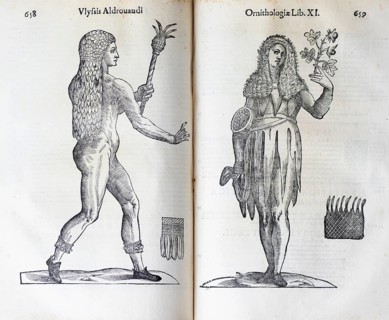 Woodcut, Regina insulae floridae, Queen of the Islands of Flowers, woman with flower in her hand
