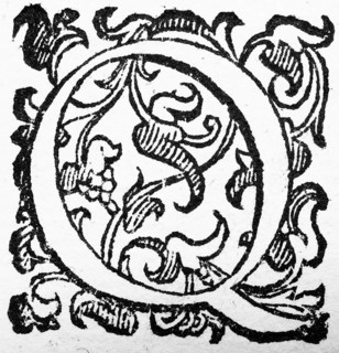 Initial, initial letter Q, from: Ulysses Aldrovandi (1522-1603), Ornithologiae hoc est de avibus