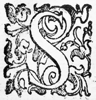Initial, initial letter S, from: Ulysses Aldrovandi (1522-1603), Ornithologiae hoc est de avibus