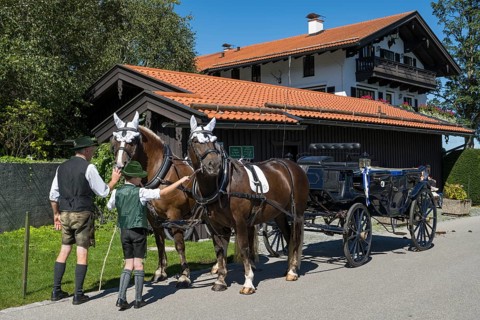 Decorated horses with carriage, team, parade at Tegernsee, Rosstag, Rottach-Egern, Upper Bavaria,