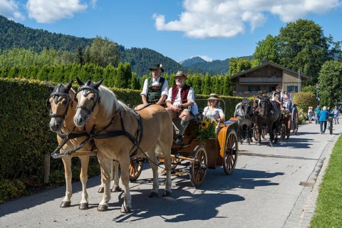 Decorated horses with carriage, horse team, parade at Tegernsee, Rosstag, Rottach-Egern, Upper