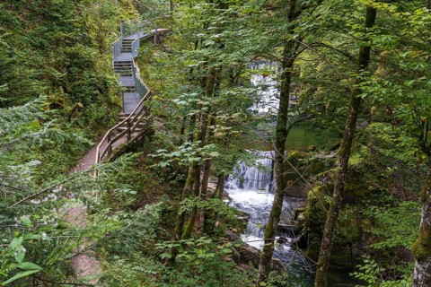 Weg am Rottach Wasserfall, Wald, Rottach-Egern, Mangfall Mountains, Upper Bavaria, Bavaria, Germany