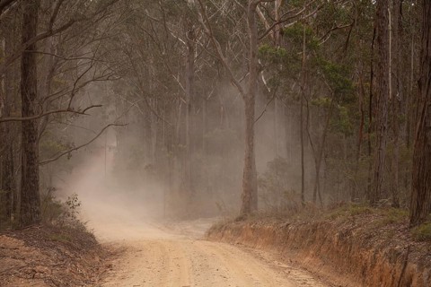 Dusty road through eucalyptus forest, Australia's wild side