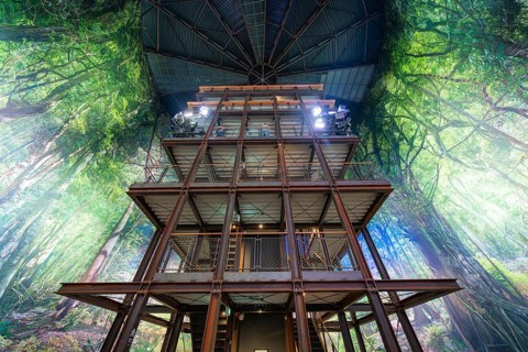 Massive wooden building in an interior with impressive forest landscape on the walls, Amazonia
