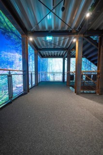 A corridor in an artificial forest setting with stairs and blue lighting, Amazonia exhibition,