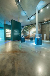A museum with paintings and exhibits in an extensive exhibition, Amazonia exhibition, Gasometer,