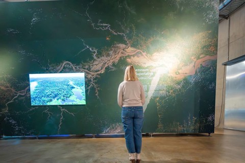 Woman looking at a large wall map in a museum exhibition with a focus on green colors, Amazonia