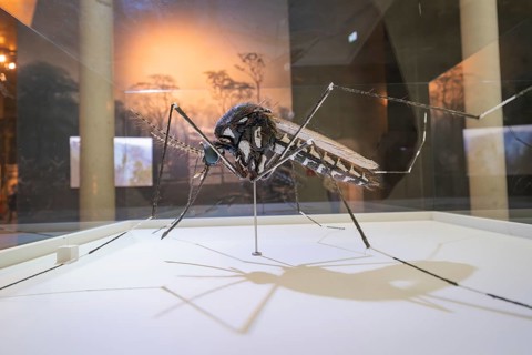 Large sculpture of an insect presented in an exhibition room, Amazonia exhibition, Gasometer,