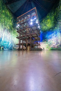 Large wooden structure in an interior surrounded by forest landscape wallpaper under a vaulted
