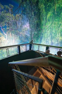 A person on a viewing platform in an artificial jungle with a green natural backdrop, Amazonia