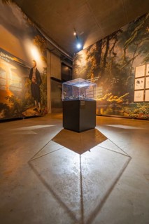 Illuminated exhibition room with historical and modern elements, Amazonia exhibition, Gasometer,