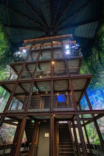 Wooden building interior with metal framework and lighting, surrounded by a forest motif, Amazonia