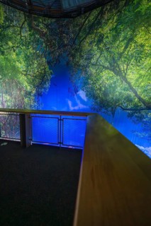 Inspiring indoor projection of a picturesque forest panorama, Amazonia exhibition, Gasometer,