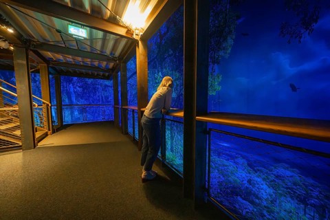 Woman leaning on a balcony looking at a blue-lit forest projection, Amazonia exhibition, Gasometer,