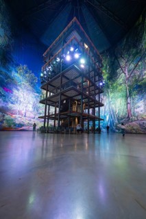 Large, multi-storey installation in a room with forest projections and bright light, Amazonia