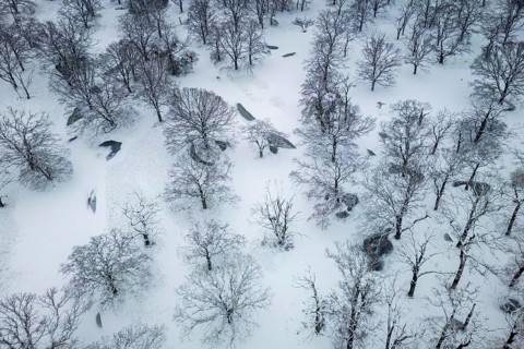 Winter landscape in frost, floodplain landscape, snowy, frost, frozen, river landscape, landscape