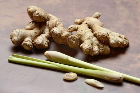 Ginger, ginger bulbs and lemongrass