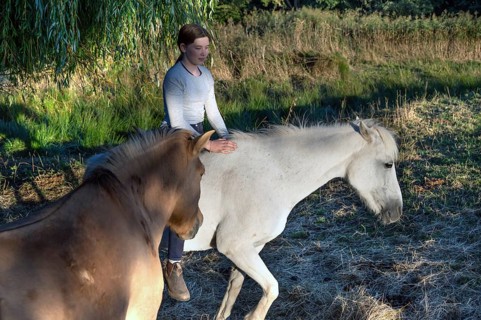 Young girl with her horses in the pasture, Othenstorf, Mecklenburg-Western Pomerania, Germany