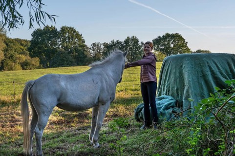 Young girl with her white horse in the pasture, Othenstorf, Mecklenburg-Vorpommern, Germany