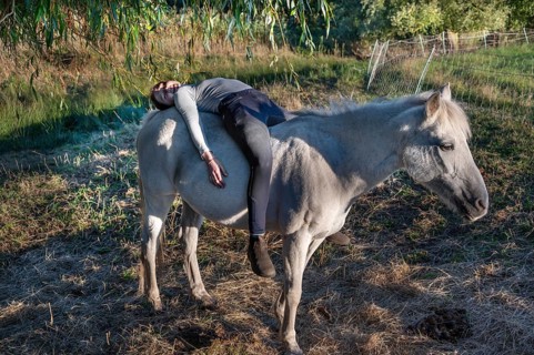 Young girl lying on her white mare in the pasture, Othenstorf, Mecklenburg-Western Pomerania,