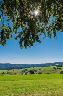 Landscape on the Schauinsland, local mountain of Freiburg im Breisgau