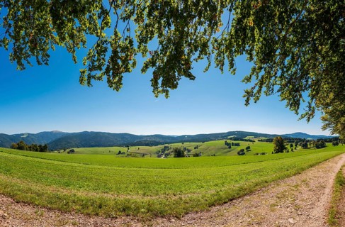 Panoramic landscape on the Schauinsland, Freiburg im Breisgau's local mountain