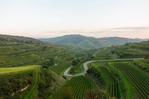 Texas pass in Kaiserstuhl at sunset, autumn. Baden-WÃ¼rttemberg, Germany