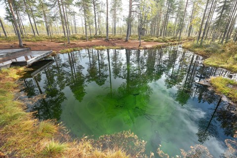 Emerald green spring water reflects autumn trees. Frog spring in the moor, wetland in Arvidsjaur,