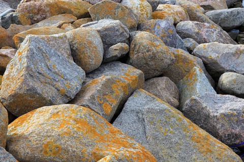 Stones of various sizes with lichens in shades of gray and orange