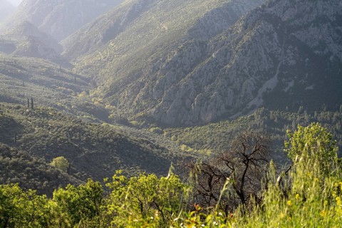 Valley in the countryside near the archaeological site of Delphi, UNESCO World Heritage Site in