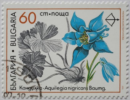 Medicinal plant as stamp motif, Aquilegia nigricans, blackish columbine, Bulgaria