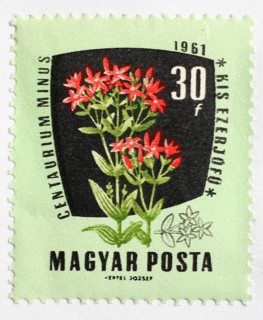 Medicinal plant as stamp motif, Centaurium minus, thousandwort, Hungary