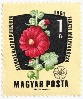 Medicinal plant as stamp motif, Althaea atropurpurea, marshmallow, Althaea officinalis, Hungary