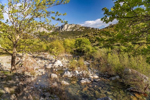 The Manikiatis River in the Manikia Gorge on the island of Euboea or Evia, Greece