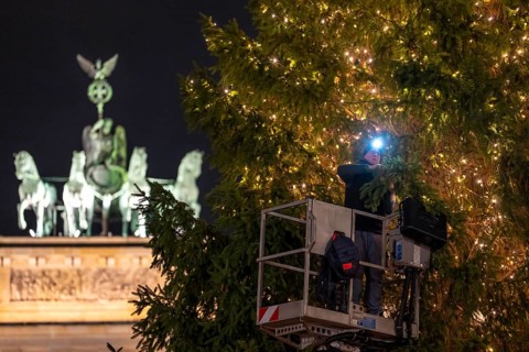 The big Christmas tree in front of the Brandenburg Gate, on Pariser Platz, is decorated with fairy
