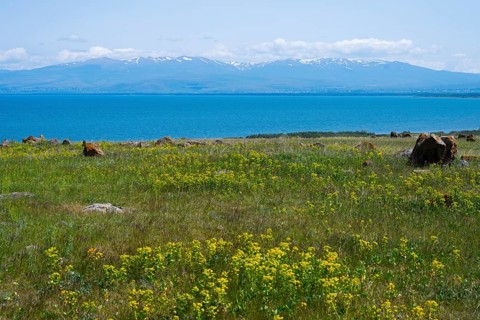 Blooming meadow in front of a lake with mountains in the background, under a blue sky with few
